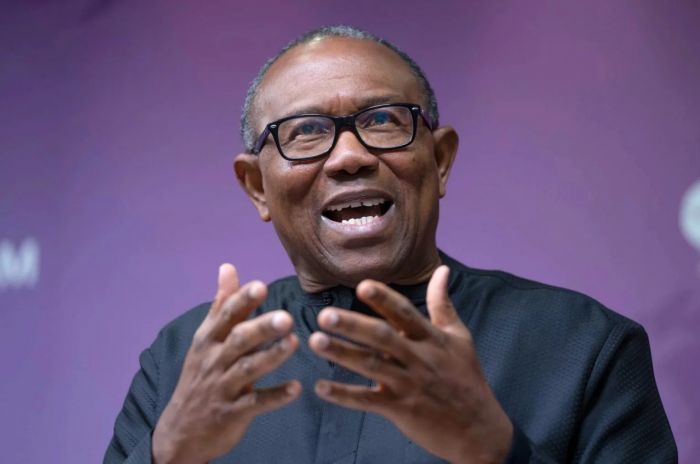 2024 Budget: N15bn for VP Residence More Useful To Fuel Police Vehicles, Increase Allowances – Peter Obi
