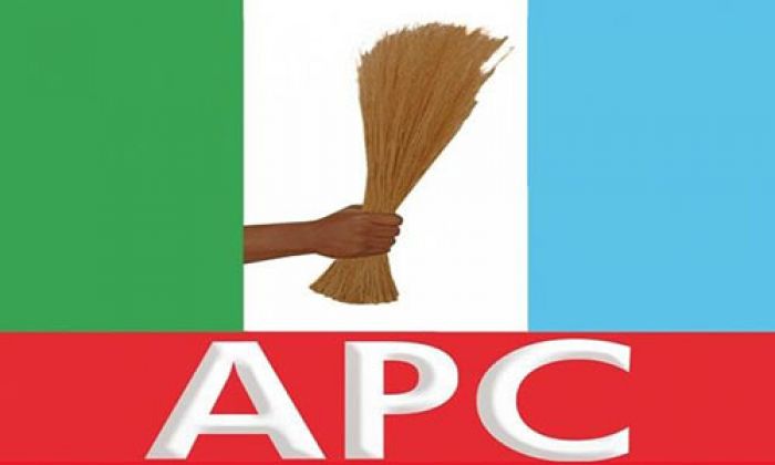PDP, NNPP, Others Form Mega Coalition Against APC - Labour Party Stands Alone
