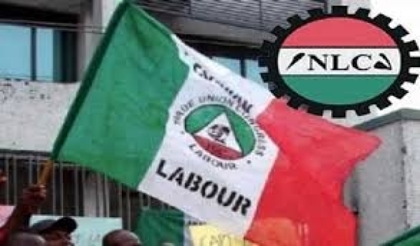 Tariff Hike: Labour Moves To Shut NERC, DisCos Offices Nationwide