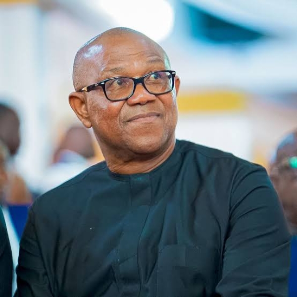 You Can’t Win 2027 Presidential Election Without Obidients – Sam Amadi Warns Peter Obi