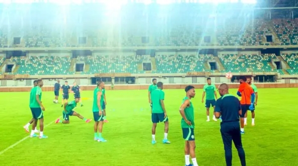 Local, foreign players will get equal chance in Super Eagles