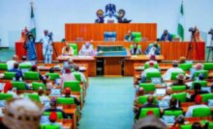 Reps reject bill requiring winner of presidential poll to secure over 50% votes