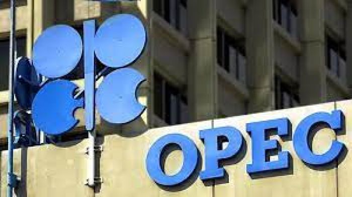 OPEC Urges NNPCL To Increase Oil Output For $14trn Global Market Potential
