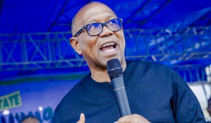 N744m Election Litigation Covered More Than Just Lawyers’ Fees — Obi