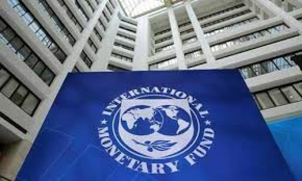 Why CBN should license cryptocurrency dealers, by IMF